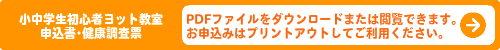 LinkIcon