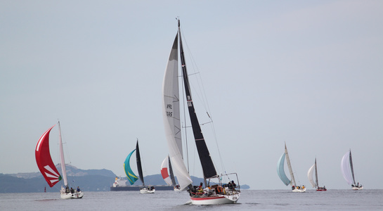 img_7566_20200924193531695.jpg